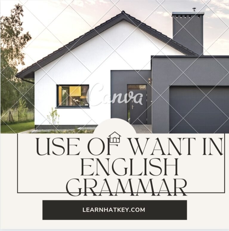 Use of want in English grammar - learnhatkey.com