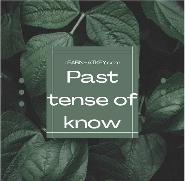 put-past-tense-past-tense-of-put-learnhatkey