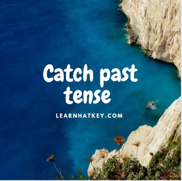meet past tense grammar